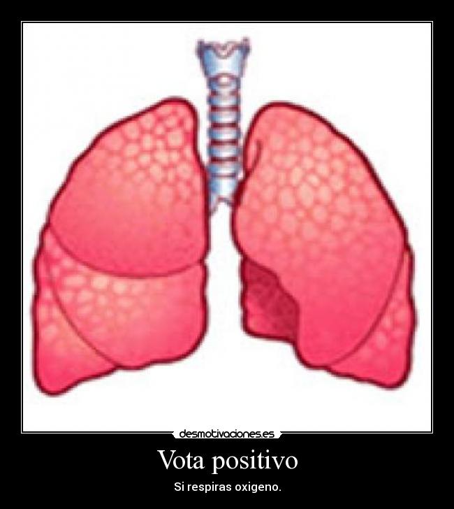 Vota positivo -