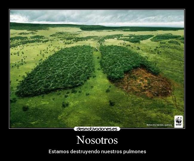 Nosotros - 