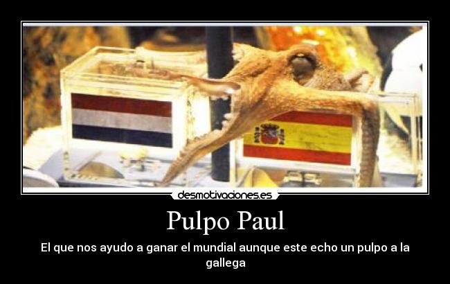 Pulpo Paul -