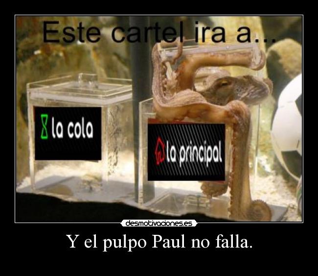 Y el pulpo Paul no falla. -