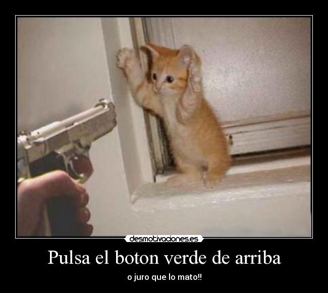 Pulsa el boton verde de arriba -