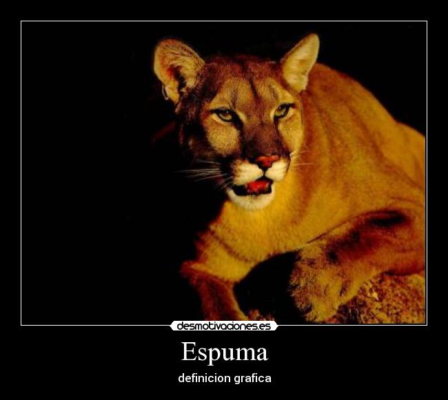 Espuma - definicion grafica