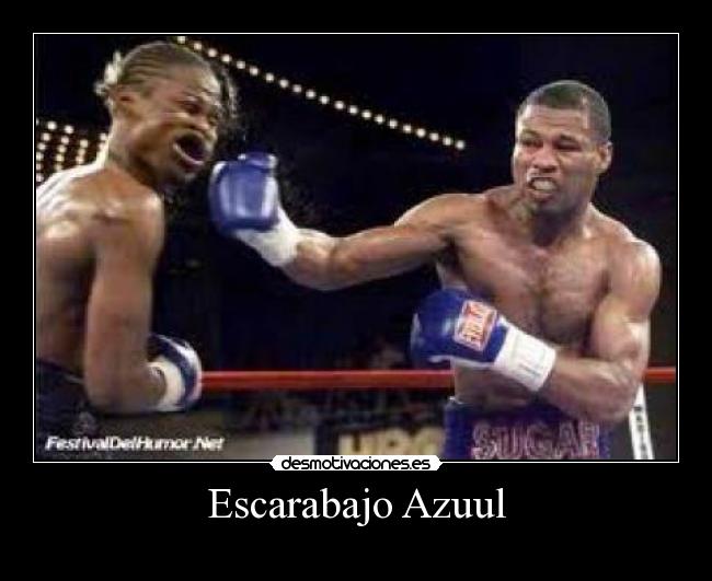 Escarabajo Azuul -