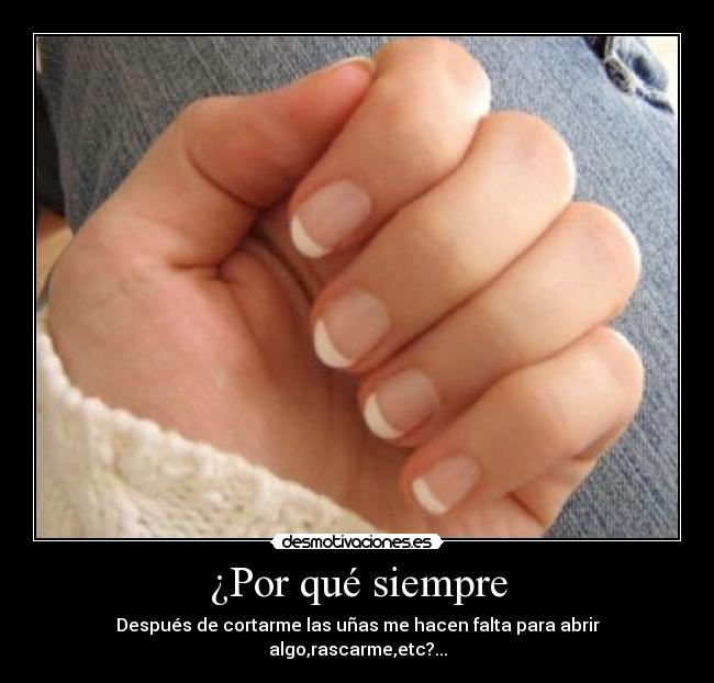 ¿Por qué siempre -