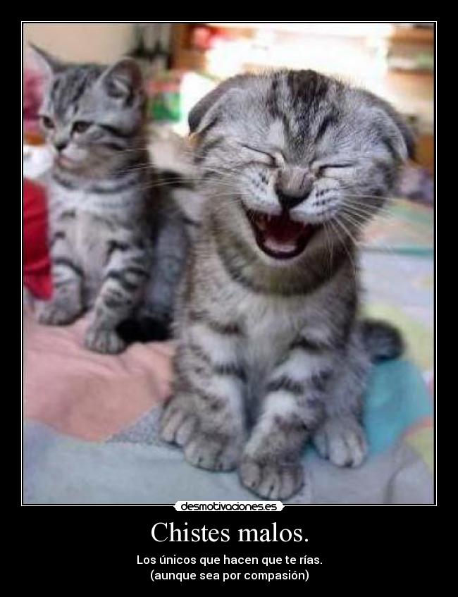 Chistes malos. - Los únicos que hacen que te rías.
(aunque sea por compasión)