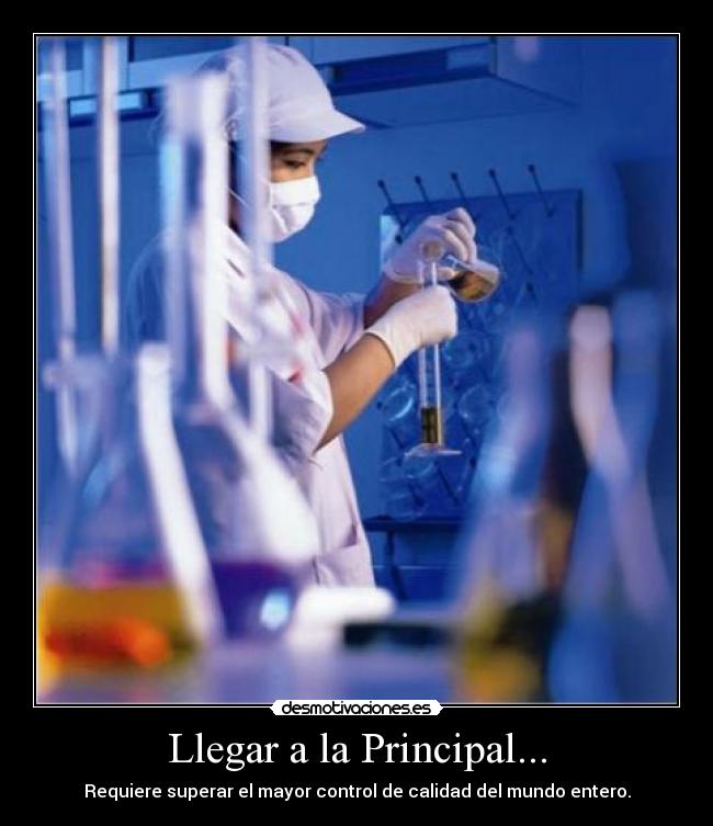 Llegar a la Principal... -