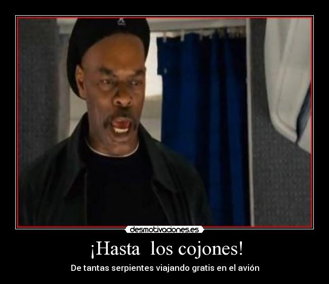 ¡Hasta los cojones! - De tantas serpientes viajando gratis en el avión