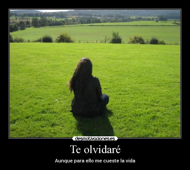 Te olvidaré -