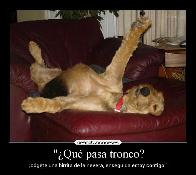 ¿Qué pasa tronco? - 