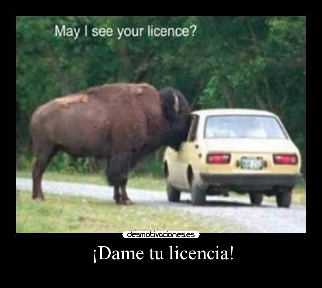 ¡Dame tu licencia! - 