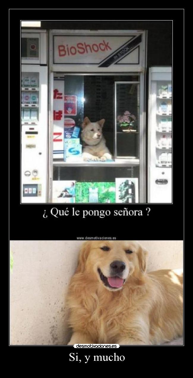 Si, y mucho - 