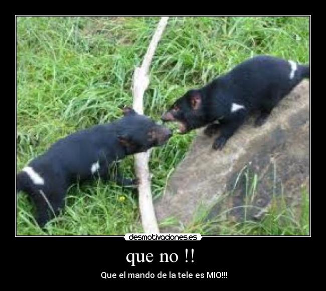 que no !! -