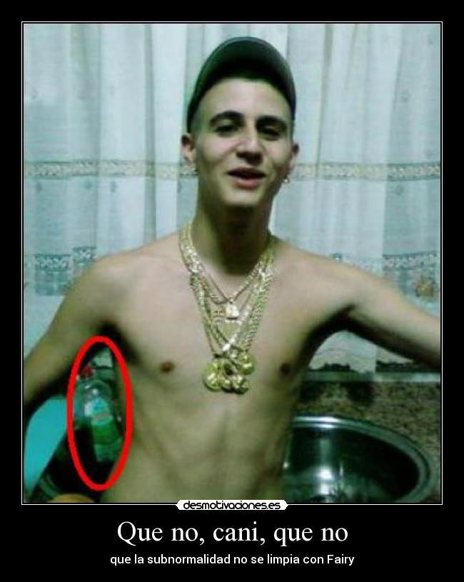 Que no, cani, que no - 