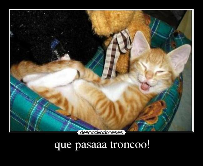 que pasaaa troncoo! - 