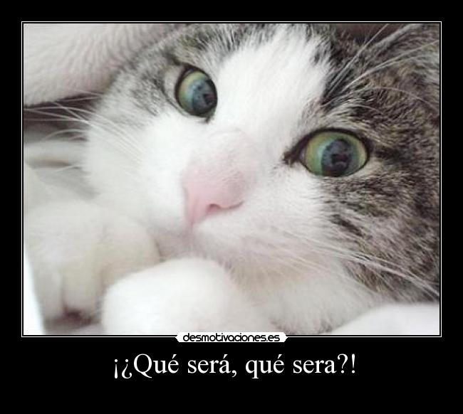 ¡¿Qué será, qué sera?! -