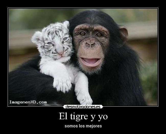 carteles cosas que pasan desmotivaciones