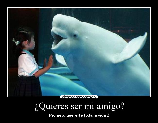 ¿Quieres ser mi amigo? - Prometo quererte toda la vida :)