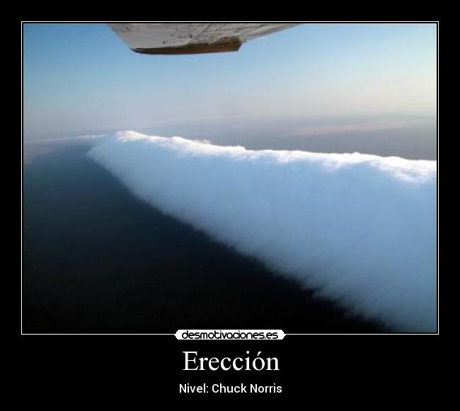 Erección - 
