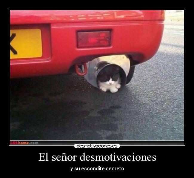 El señor desmotivaciones -