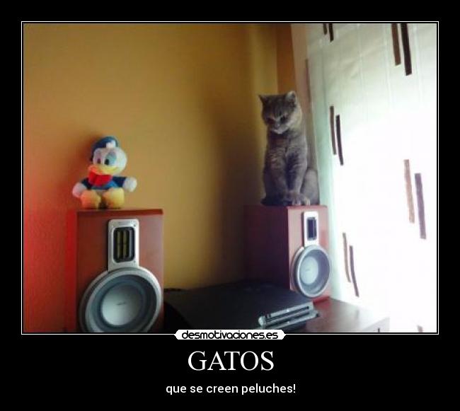 GATOS -