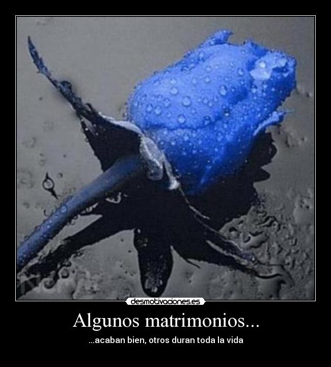 Algunos matrimonios... - 