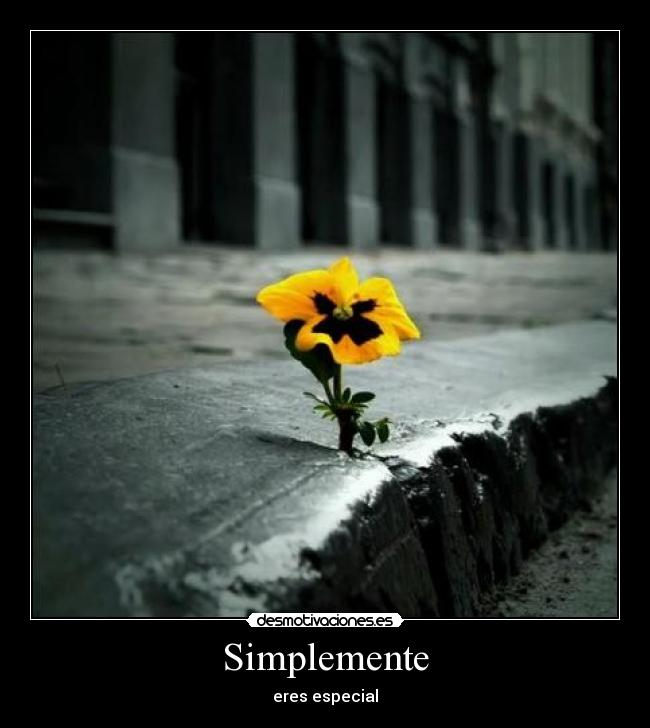 Simplemente - eres especial