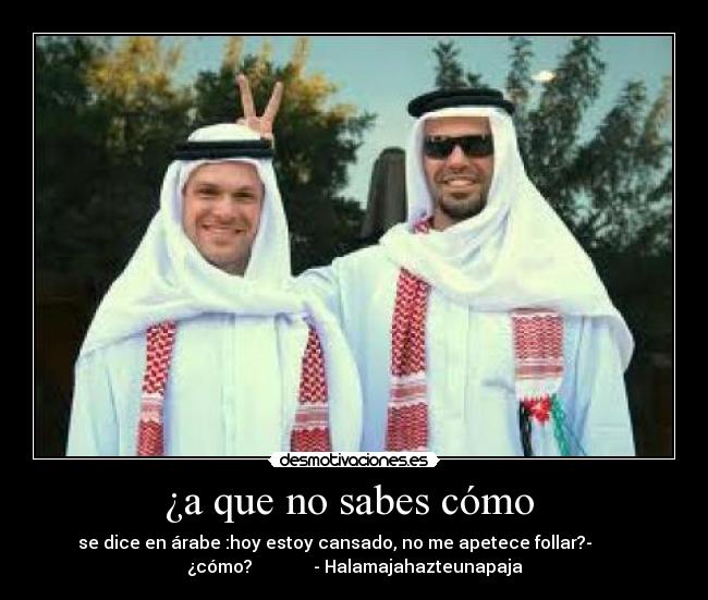 carteles mohamed desmotivaciones