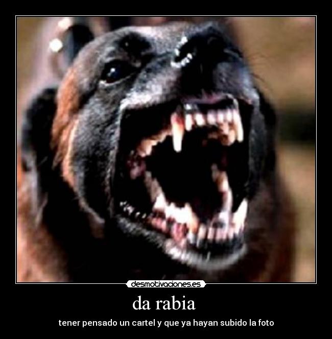da rabia -