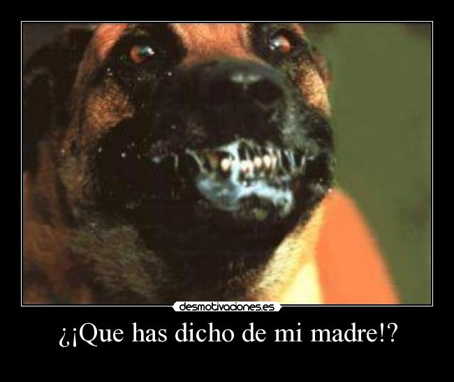 carteles madre perro rabia desmotivaciones