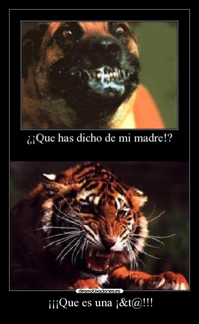 ¡¡¡Que es una ¡&t@!!! - 