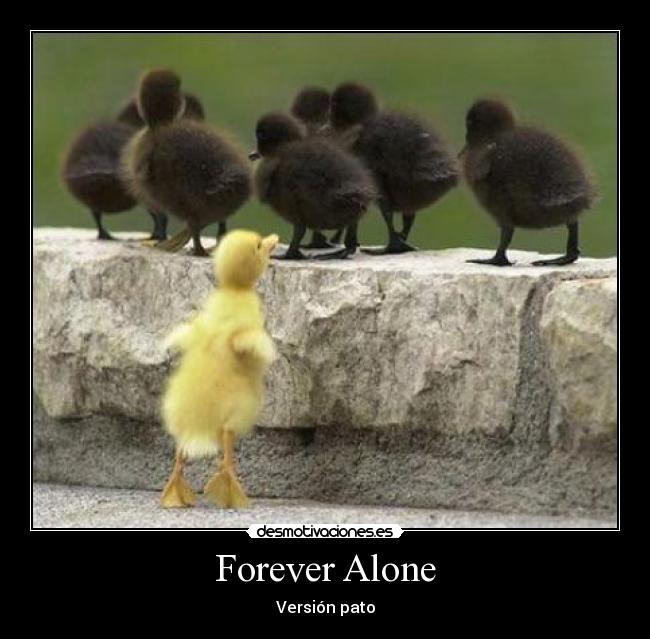 carteles forever alone desmotivaciones