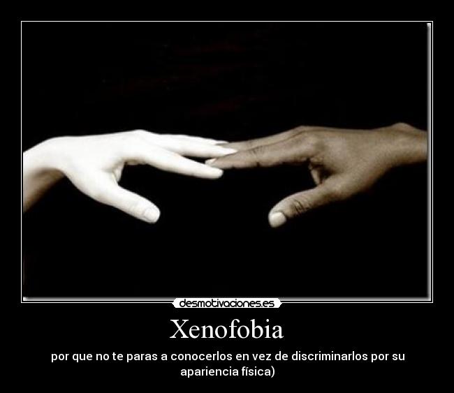 carteles zorrita desmotivaciones