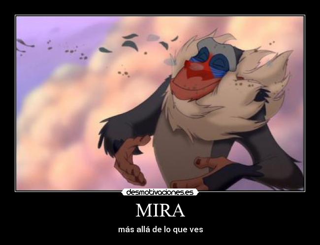MIRA - más allá de lo que ves