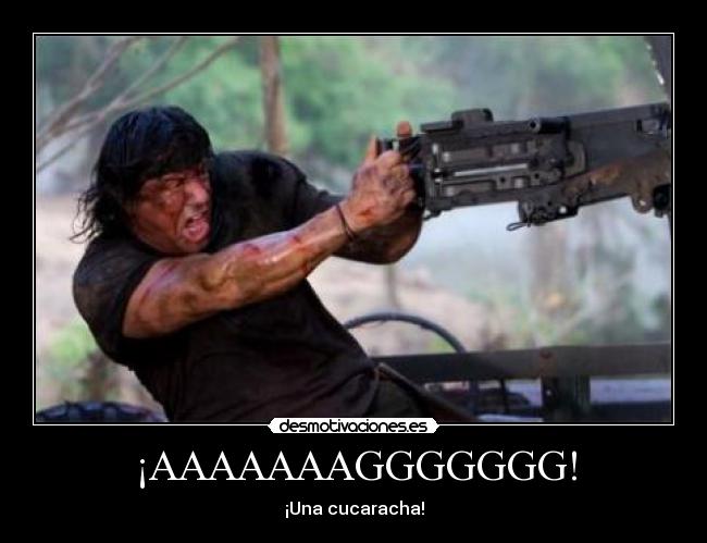 ¡AAAAAAAGGGGGGG! - ¡Una cucaracha!