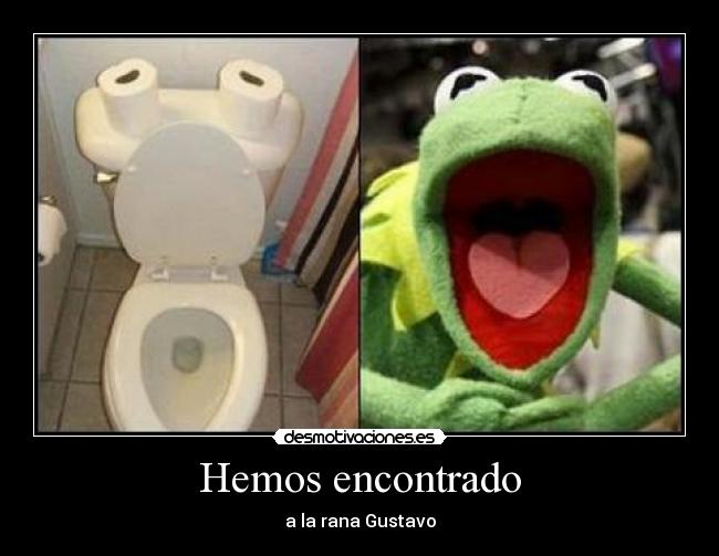 Hemos encontrado - a la rana Gustavo