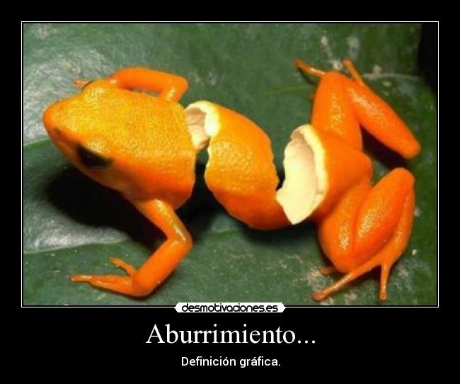 Aburrimiento... - Definición gráfica.