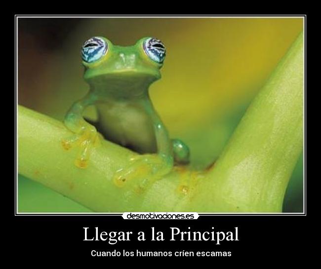 Llegar a la Principal - Cuando los humanos críen escamas