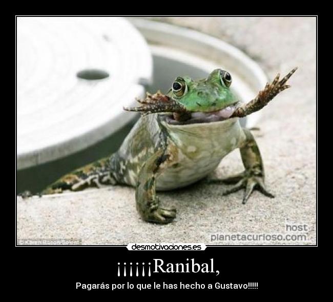 ¡¡¡¡¡¡Ranibal, - Pagarás por lo que le has hecho a Gustavo!!!!!