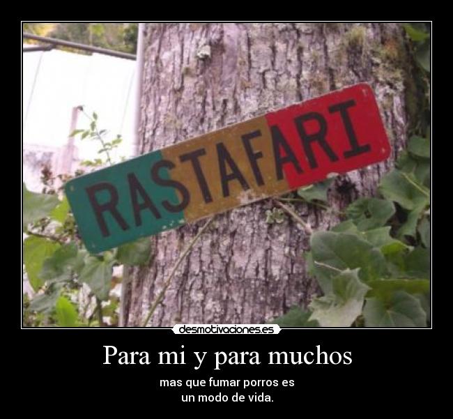 carteles raaasta desmotivaciones