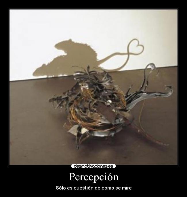 Percepción - Sólo es cuestión de como se mire