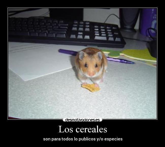 carteles alwada desmotivaciones