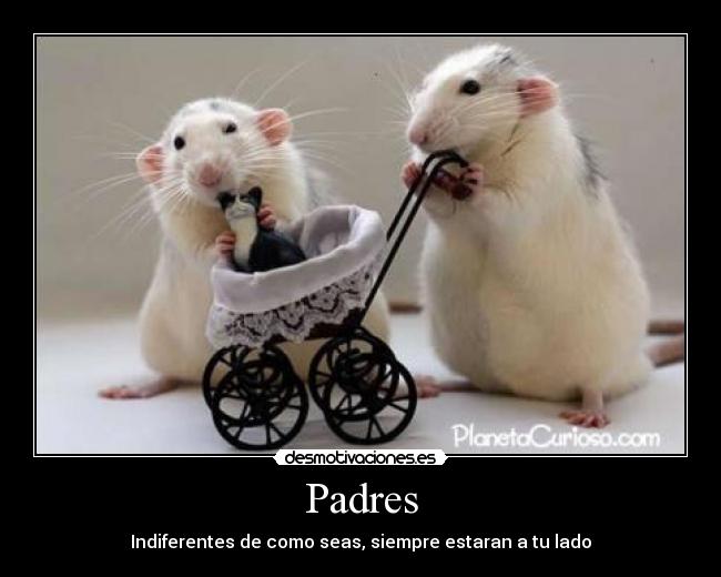 Padres - Indiferentes de como seas, siempre estaran a tu lado