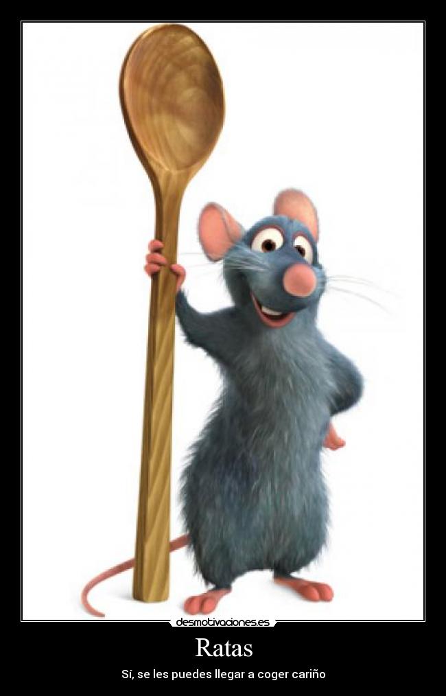 Ratas - Sí, se les puedes llegar a coger cariño