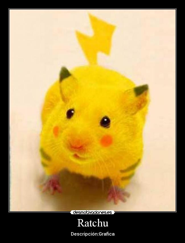 Ratchu -