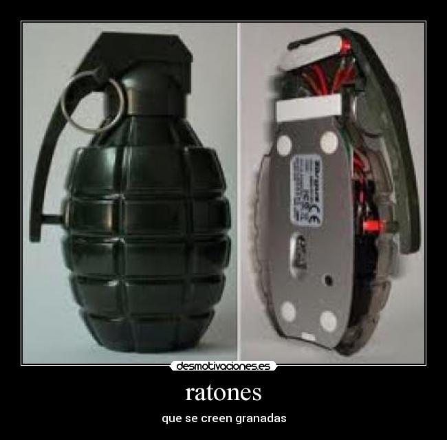 ratones - 