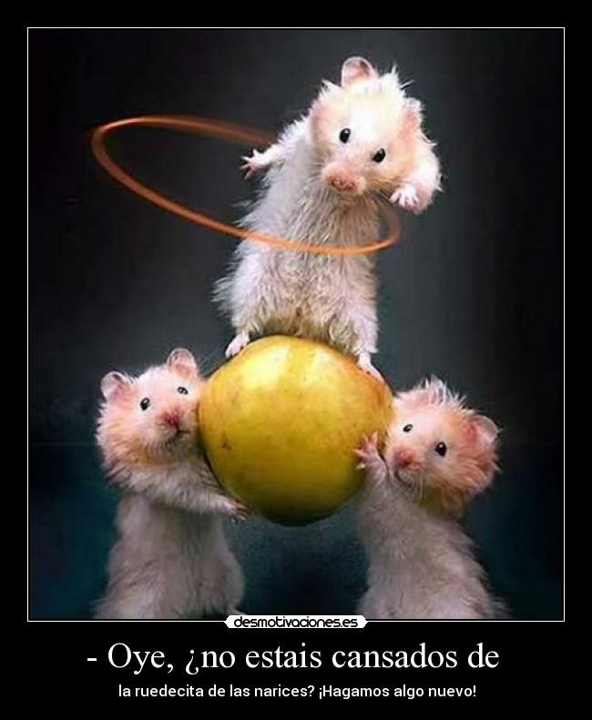 - Oye, ¿no estais cansados de - la ruedecita de las narices? ¡Hagamos algo nuevo!