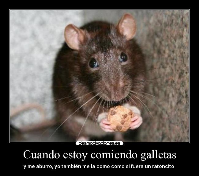 Cuando estoy comiendo galletas - y me aburro, yo también me la como como si fuera un ratoncito 