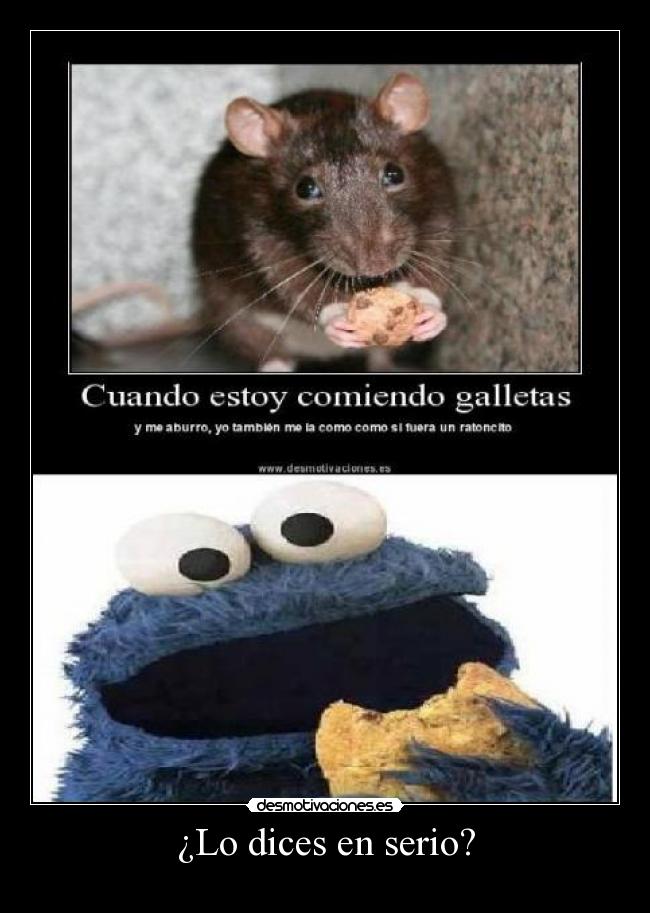 ¿Lo dices en serio? -