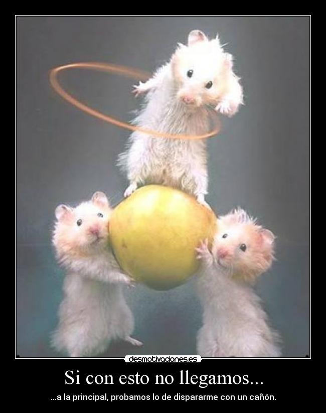 Si con esto no llegamos... - 