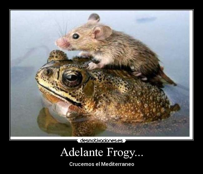 Adelante Frogy... - 